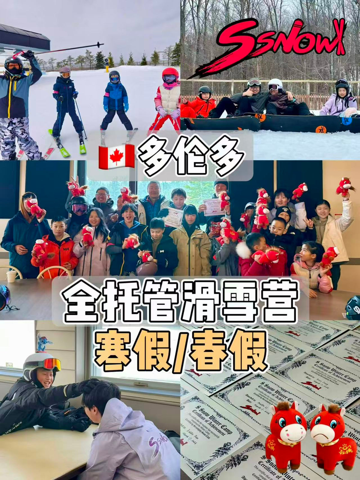 Christmas & New Year's - Winter Camp with Bus